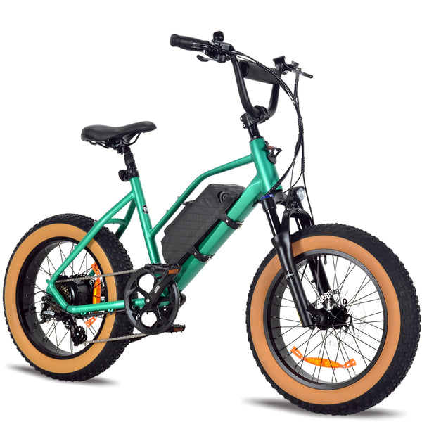 ファットバイク・電動アシスト自転車・電動キックボード・特定小型原付・電動バイク|バイクみたいな自転車をお探しなら、東京・上野の電動モビリティ専門店へ