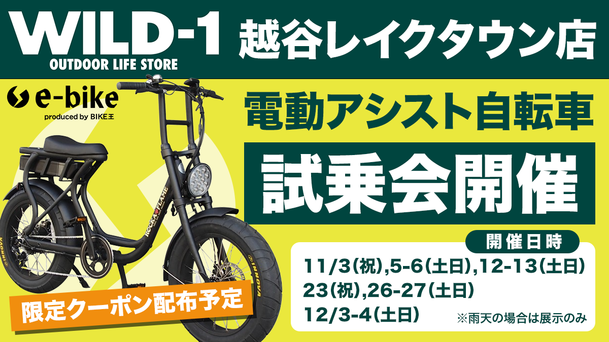 ３人乗り対応　カッコいいHYDEE2　アシスト領域拡大　整備済　埼玉上尾 3人乗り対応カッコいいHYDEE2アシスト領域拡大整備済埼玉上尾