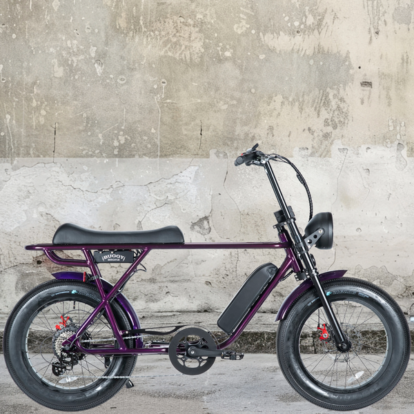 BRONX BUGGY