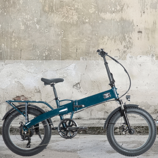 電動自転車/ブロンクス FLEX TRACK|e-bike UENO|バイク王 電動自転車/ブロンクス FLEX TRACK|e-bike UENO|バイク王