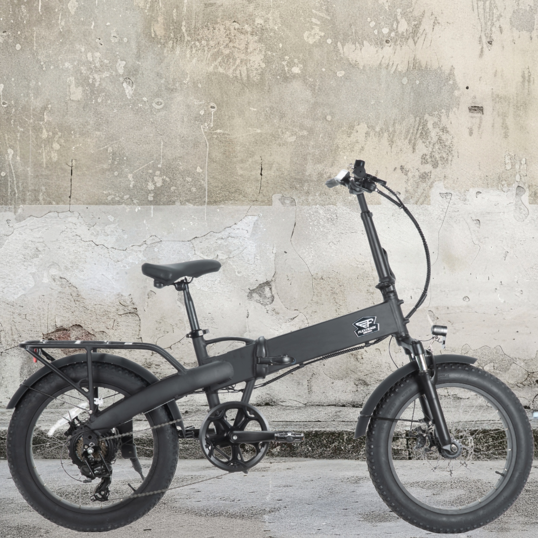 電動自転車／ブロンクス FLEX TRACK｜e-bike UENO｜バイク王