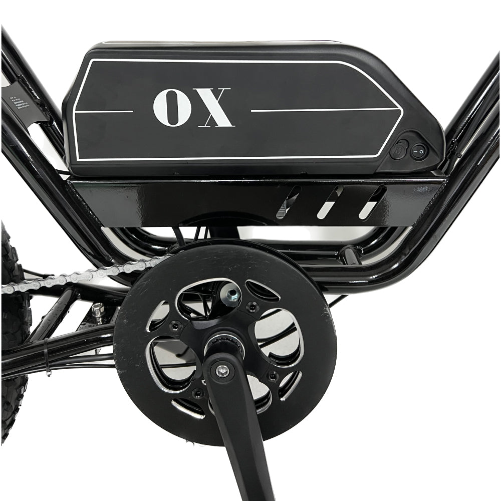 OX-17_0e923137-1809-41ab-b86d-