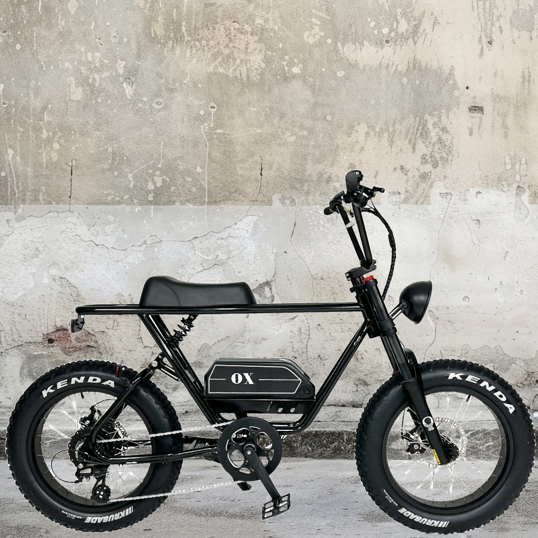 電動自転車／OX-BIKE｜e-bike UENO｜バイク王 – E-BIKE (バイク王)