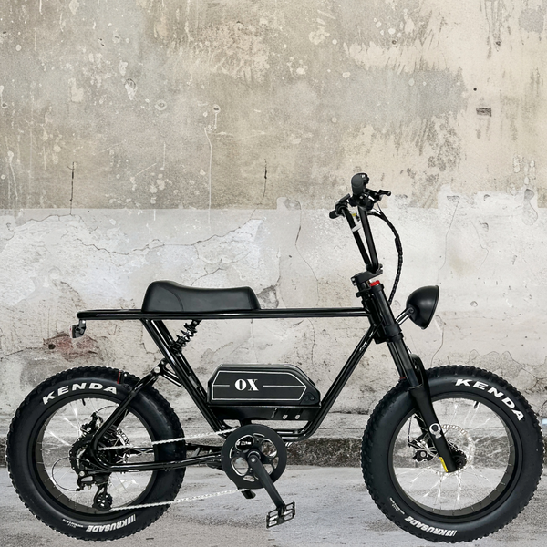 タレント御用達!! ☆OX BIKE☆ タレント御用達!! ☆OX BIKE☆