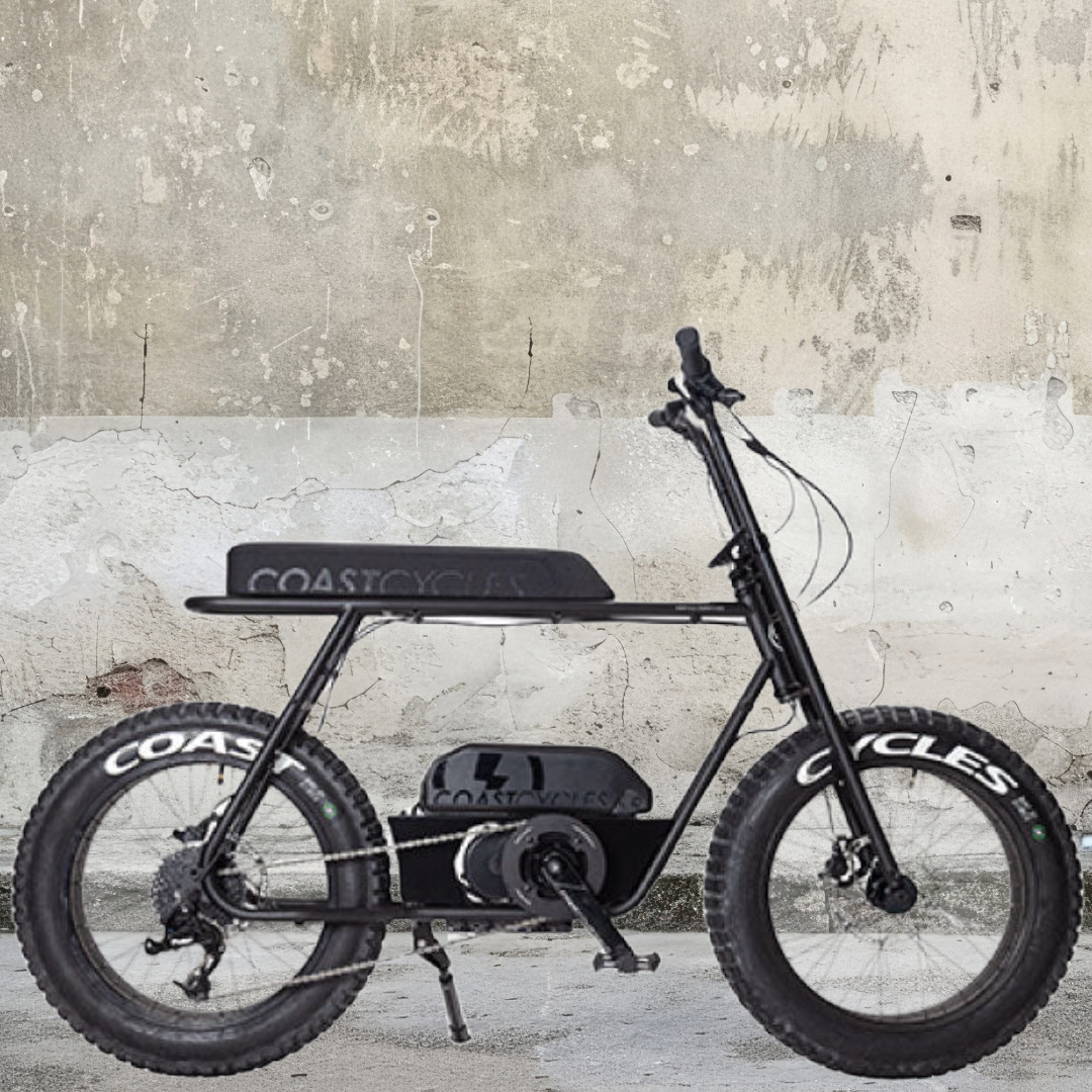 電動アシスト自転車】Buzzraw classic 電動アシスト自転車】Buzzraw classic