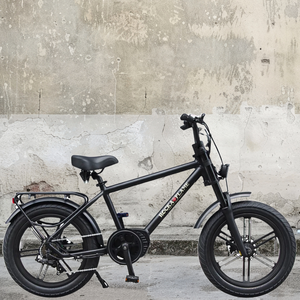 Rocka Flame BODY – e-bike UENO Rocka Flame BODY – e-bike UENO