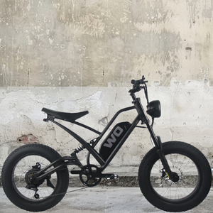 WO bikes M2X-2 large WO bikes M2X-2 large